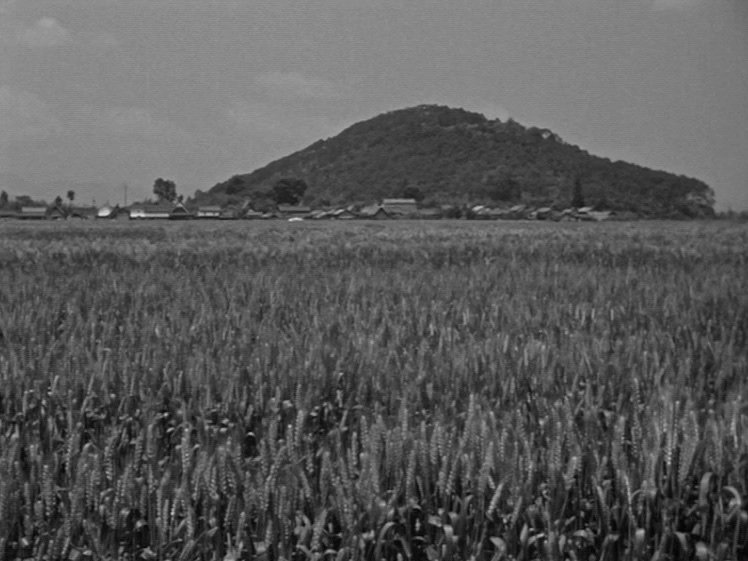 Shoji is, of course, only one of many lost soldiers. A marriage procession through a swaying wheat field suggests life continuing, while honouring the dead