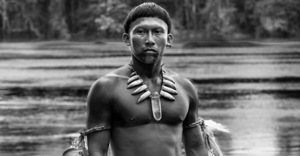 Embrace Of The Serpent Online