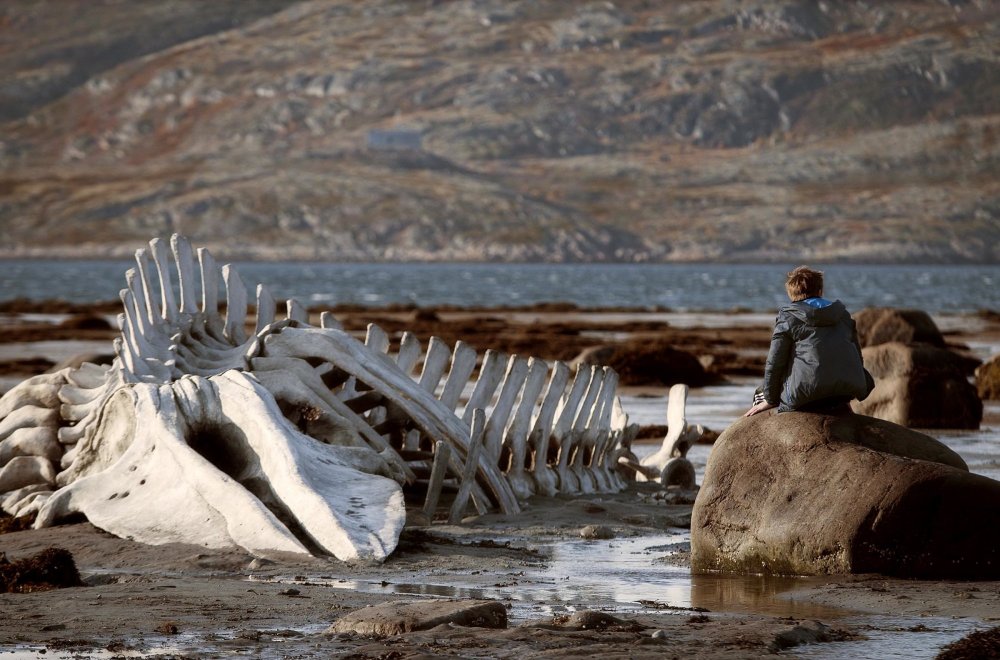 leviathan-2014-001-whale-skeleton-on-beach_0.jpg?itok=LHVzBHq1