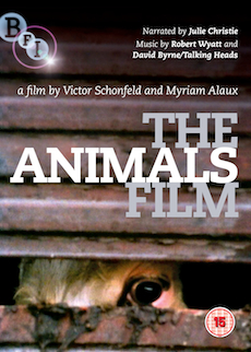 animal film