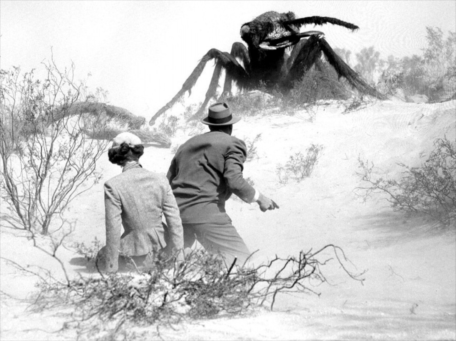 10 great American sci-fi films of the 1950s | BFI